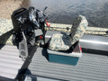 Руль и машинка дистанционного управления на лодке Солар 470 SJT