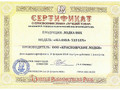 Лодка ПВХ Аляска 510 Люкс